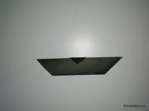 Origami Bat Picture 5