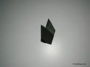 Origami Bat Picture 6