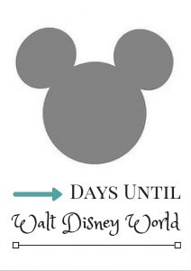 Disney World Countdown Calendar