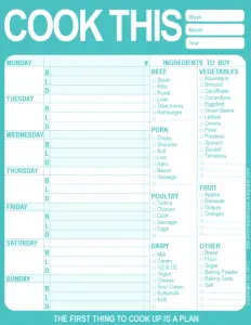 Daily Food Planner Template