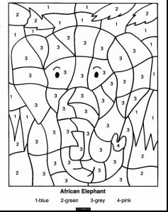 Division Color by Number 5th Grade