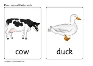 Animal Flash Cards Printable Free