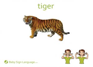 Animal Sign Language Flash Cards