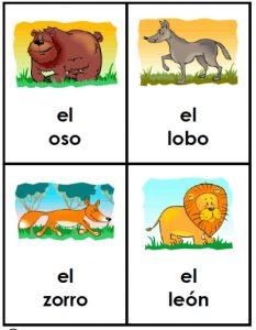 Spanish Animal Flash Cards