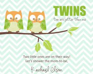 Twin Baby Shower Invitations Owls