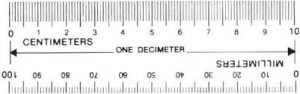 Decimeter Ruler Printable