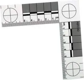 Photographic Forensic Scale Ruler Printable