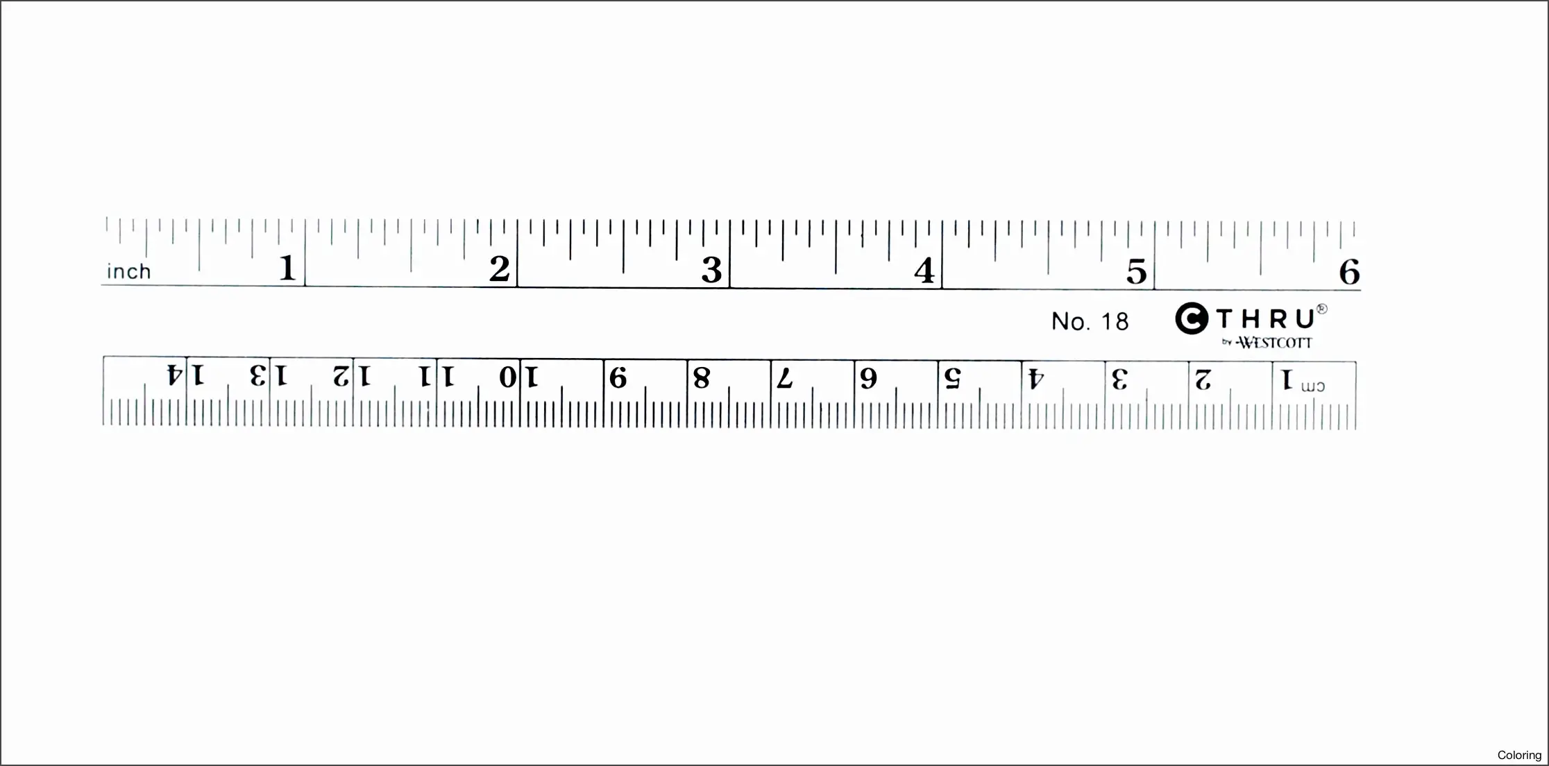 Scale Ruler Printable Printable Word Searches