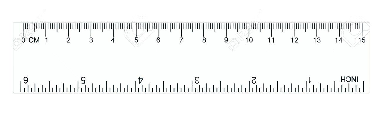 life size ruler inches