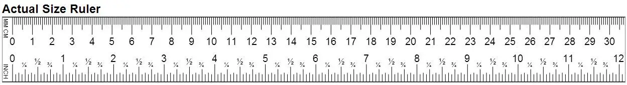 4 Inches Ruler Actual Size Cheaper Than Retail Price Buy Clothing Accessories And Lifestyle Products For Women Men