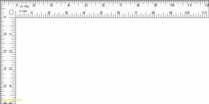 Printable Ruler Vector