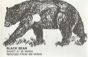 Bear Targets Printable