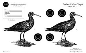 Bird Targets Printable