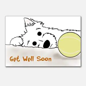 Printable Get Well Cards for Dogs