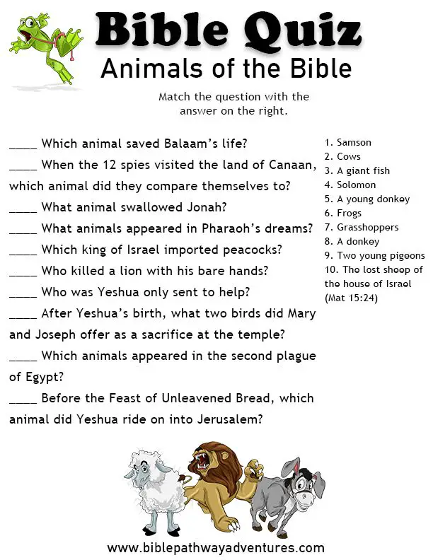 32 Fun Bible Trivia Questions Kitty Baby Love