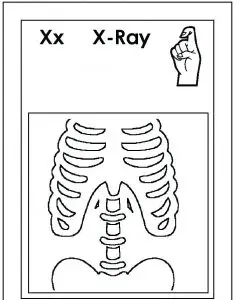 Sign Language Alphabet Flash Cards