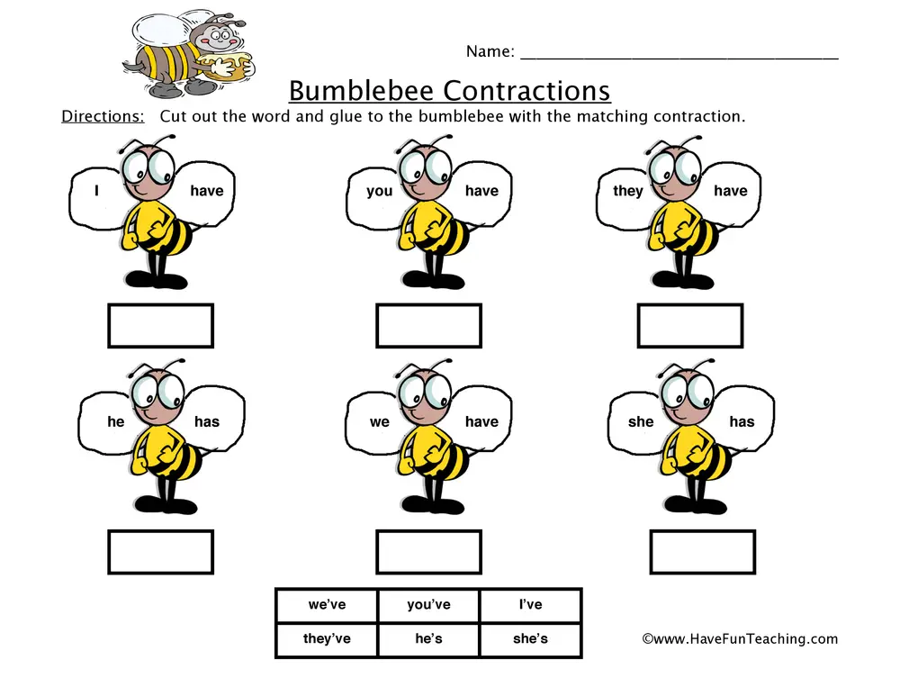Contractions And Pronouns Worksheet