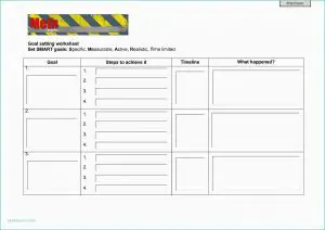 Professional Goal Setting Worksheet