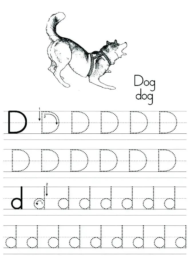 26 learner friendly letter d worksheets kittybabylovecom