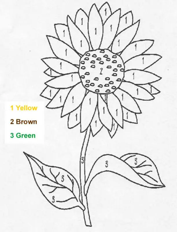 color by number worksheets garden flowers
