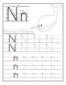 Letter N Worksheet Preschool