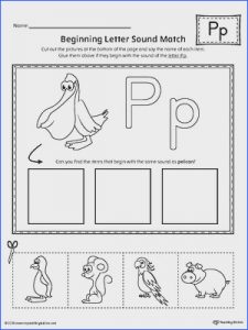 14 constructive letter p worksheets kitty baby love