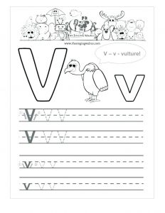 Letter V Preschool Worksheets