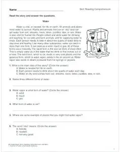 Identify Main Idea and Details Worksheet