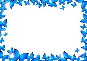 Blue Butterfly Border