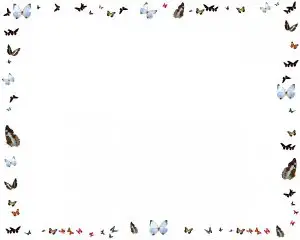 Butterfly Border Images