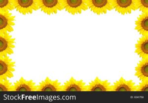 Free Sunflower Border Templates