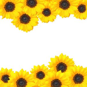 Printable Sunflower Border