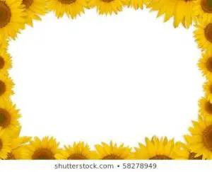 Sunflower Border Template