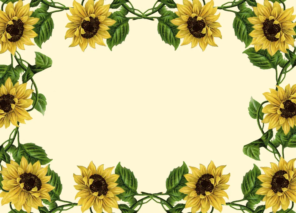 15 Cheery Sunflower Borders Kitty Baby Love