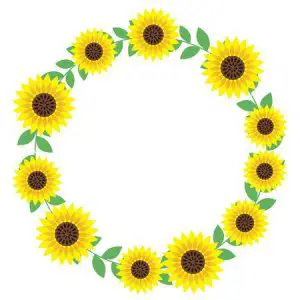 Sunflower Circle Border