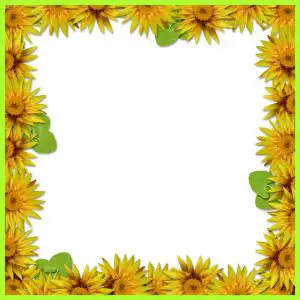 Sunflower Page Border
