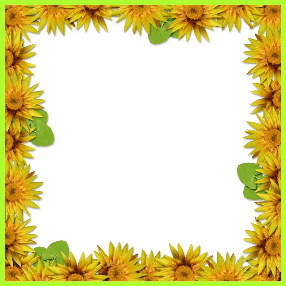 Free Printable Sunflower Borders.