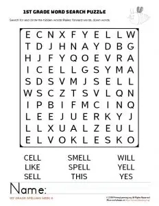 1st Grade Word Search