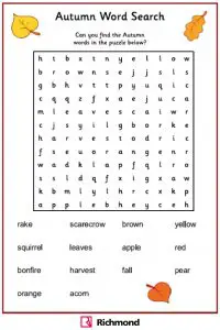 Fall Word Search 2nd Grade