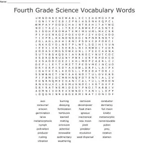 Science 4th Grade Word Search