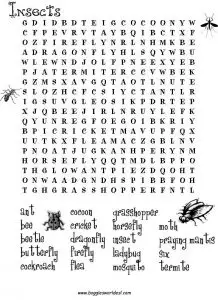 Word Search Worksheets for 4th Grade