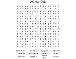 Animal Cell Word Search