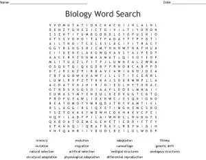 Biology Word Search