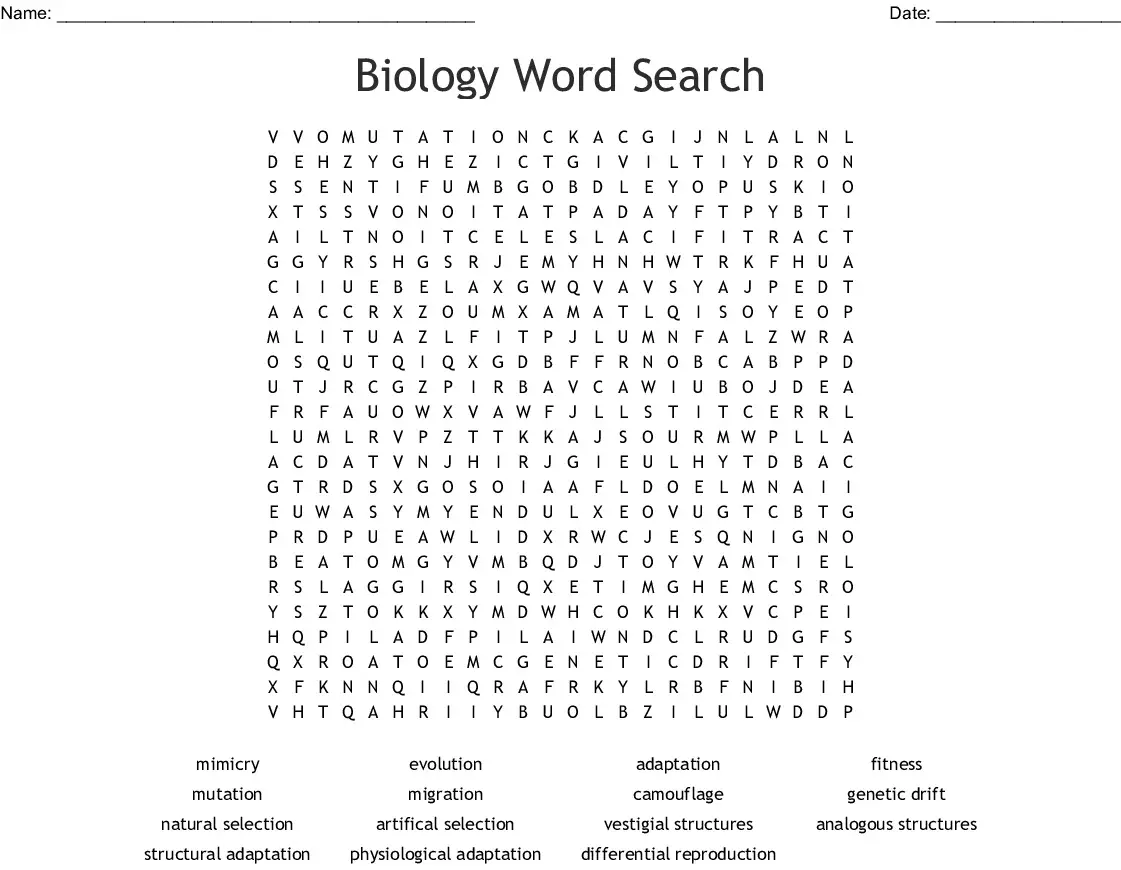 8-educative-biology-word-searches-kitty-baby-love