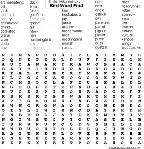 Birds Word Search Worksheet