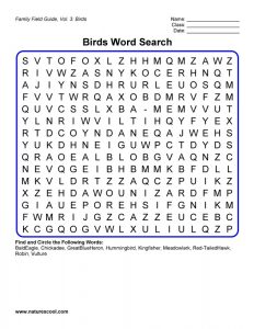 Birds Word Search to Print