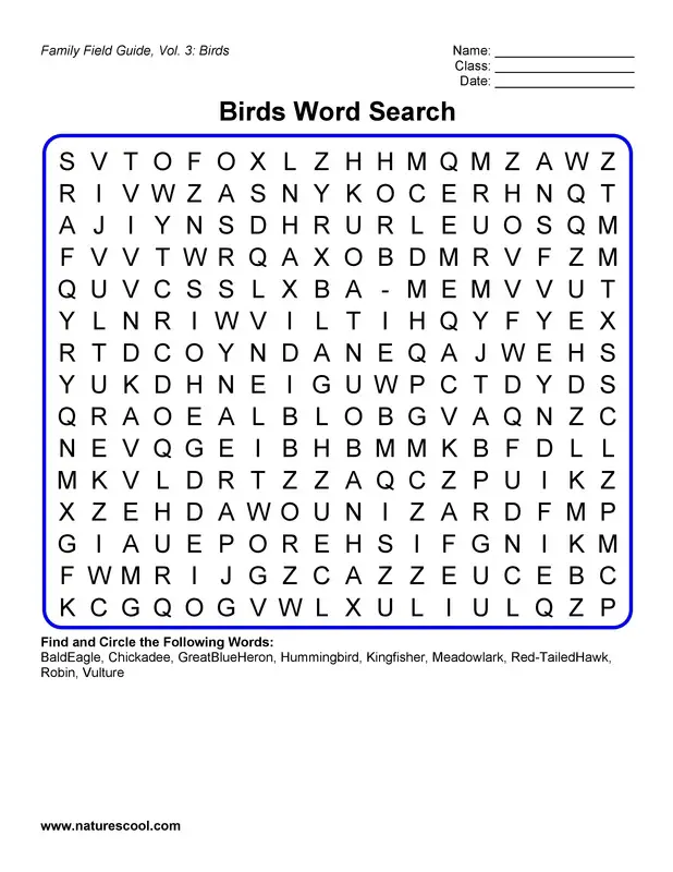 10-fun-birds-word-searches-kitty-baby-love