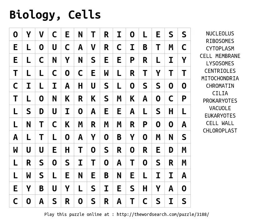 12 Interesting Cell Word Search Puzzles Kitty Baby Love