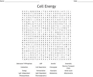 Cell Energy Word Search