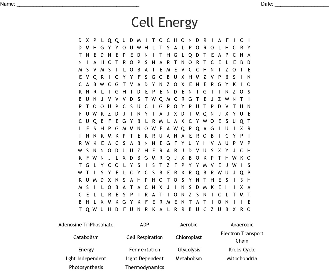 12 Interesting Cell Word Search Puzzles Kitty Baby Love